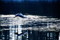0003.blue.morning